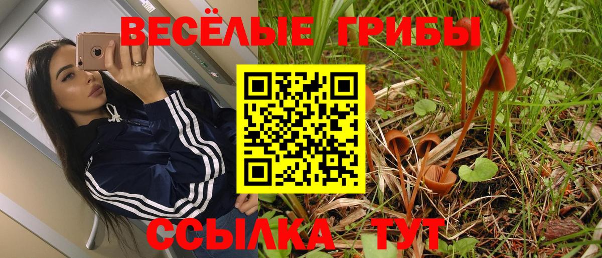 Псилоцибиновые грибы GOLDEN TEACHER Петрозаводск