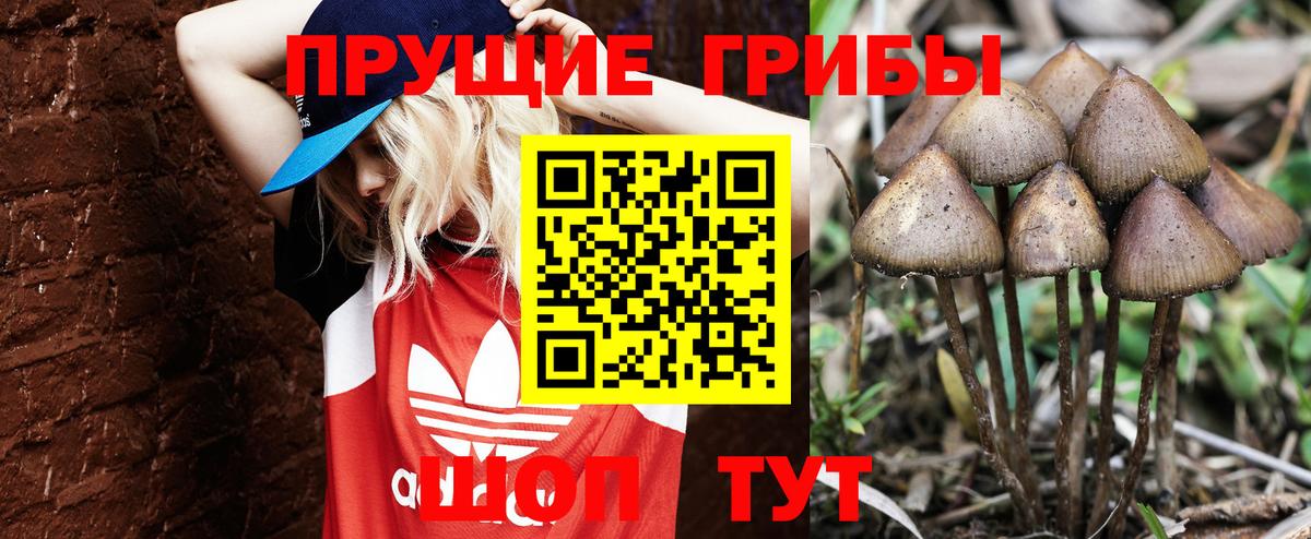 Петрозаводск  Галлюциногенные грибы GOLDEN TEACHER  Вход с VPN 